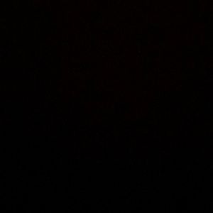 Meet your Posher, Ty